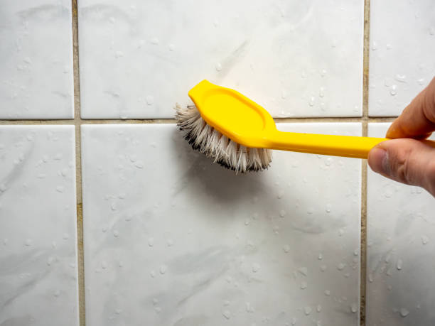 Best Local Mold Removal Service  in West Salem, OH
