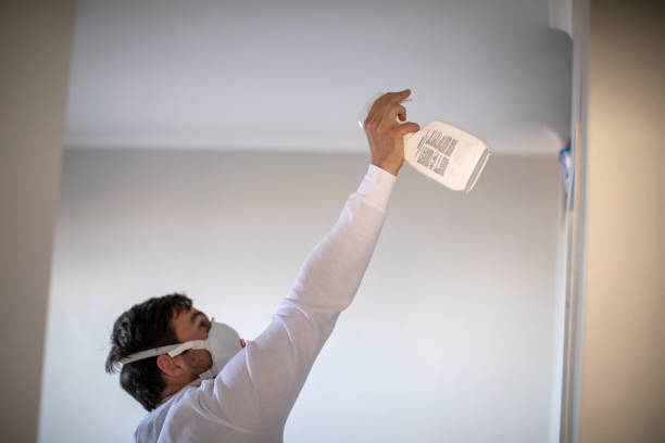 Best Residential Mold Removal  in West Salem, OH