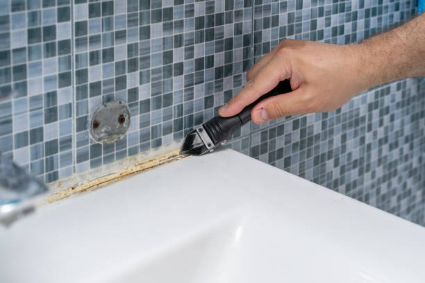 Professional Mold Removal in West Salem, OH