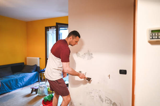 Best Emergency Mold Removal  in West Salem, OH